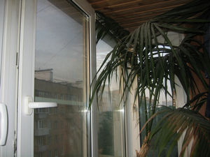 c81b52f5fb7bc194.jpg c81b52f5fb7bc194.jpg